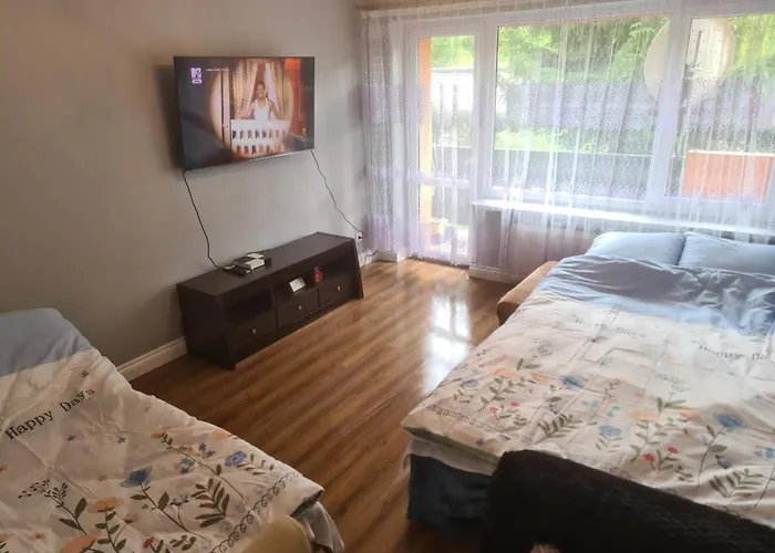 Mieszkanie Do Wynajęcia Olivka